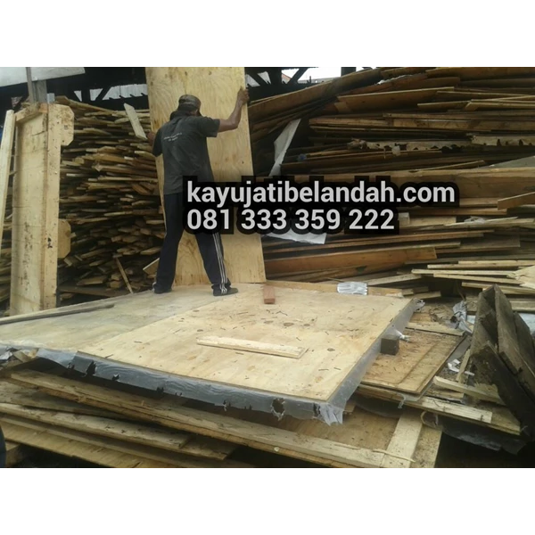 Kayu jati londo atau jati londo jenis Multiplex jerman (Pine Plywood)