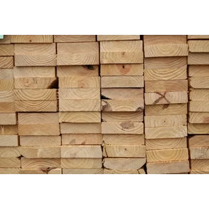 Kayu jati belanda
